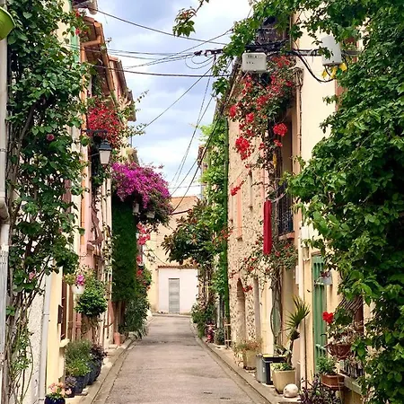 Maison Historique Rue Vermeille Argeles Sur Mer Extérieur photo