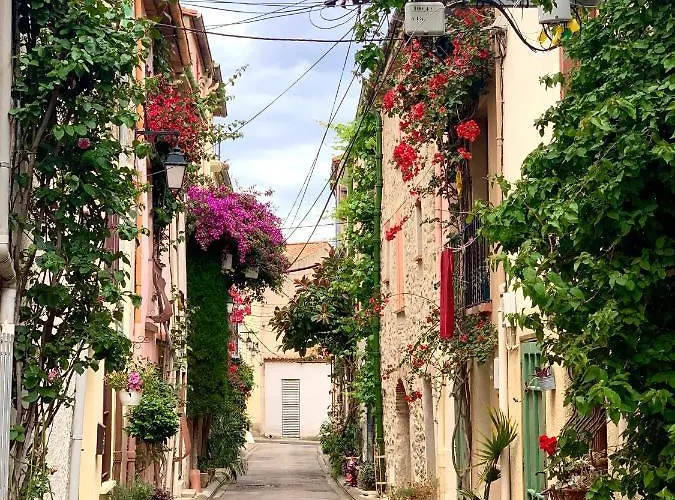 Maison Historique Rue Vermeille Argeles Sur Mer